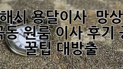 동해시 용달이사 🚚 망상동 심곡동 원룸 이사 후기 공개! 꿀팁 대방출 ✨