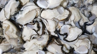 겨울철 별미! 갓 잡은 신선함 가득한 김장생굴 맛보기 후기 & 구매 팁! ✨